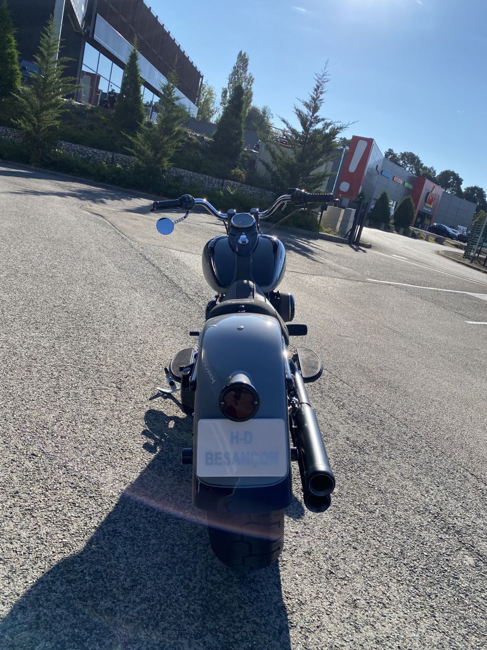 HARLEY-DAVIDSON SOFTAIL SPRINGER 1584 CROSS BONES 4