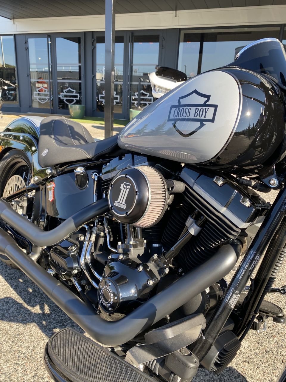 HARLEY-DAVIDSON SOFTAIL SPRINGER 1584 CROSS BONES 4