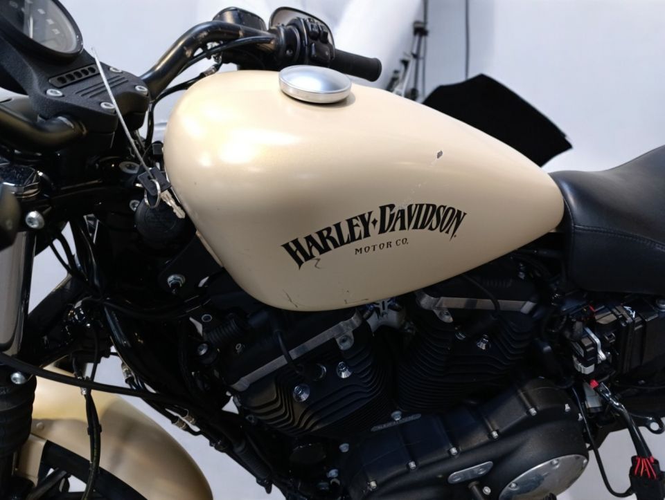 HARLEY-DAVIDSON SPORTSTER IRON 883 4