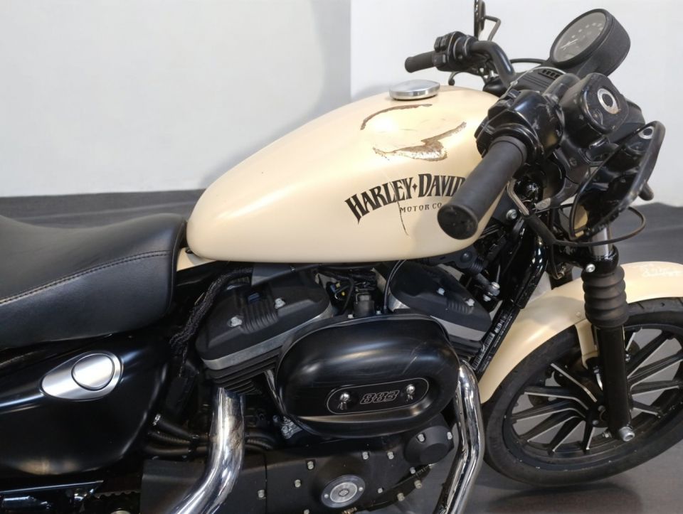 HARLEY-DAVIDSON SPORTSTER IRON 883 4