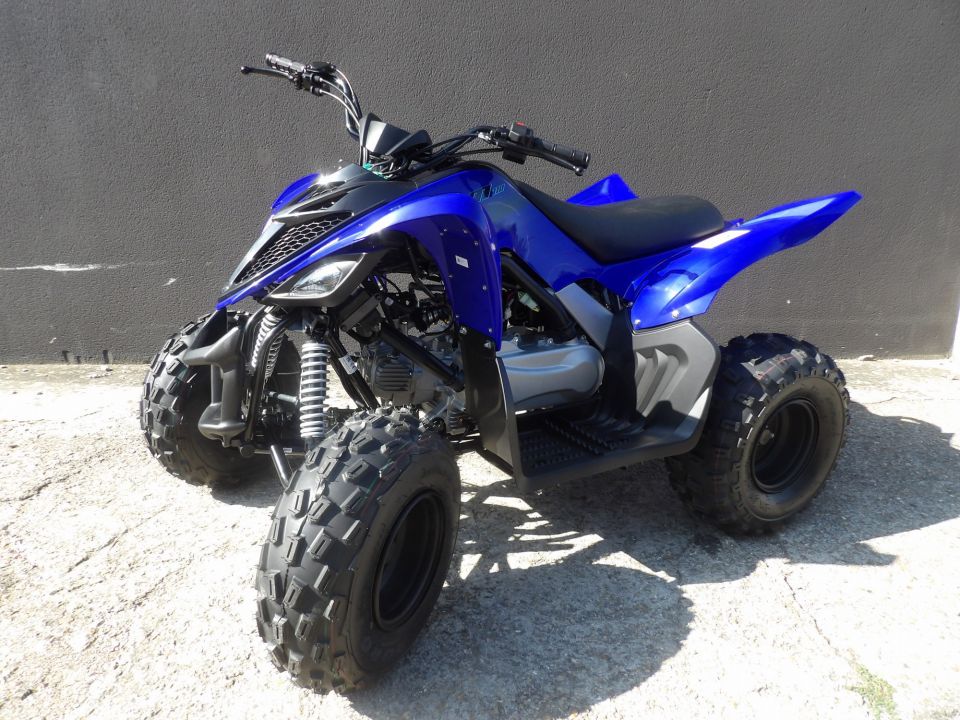 YAMAHA YFM RAPTOR 110 4