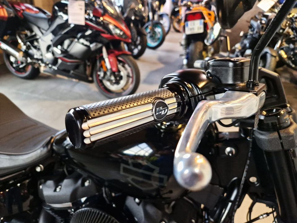 HARLEY-DAVIDSON SOFTAIL FAT BOB 1800 4