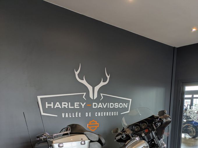 HARLEY-DAVIDSON TOURING ELECTRA GLIDE 1340 4