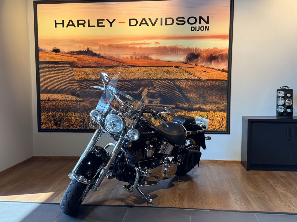 HARLEY-DAVIDSON SOFTAIL DELUXE 1690 4