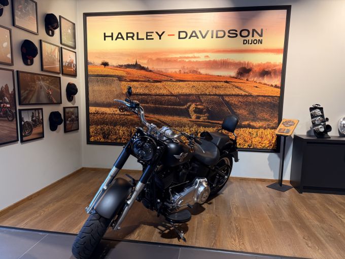 HARLEY-DAVIDSON SOFTAIL FAT BOY 1690 SPECIAL 4