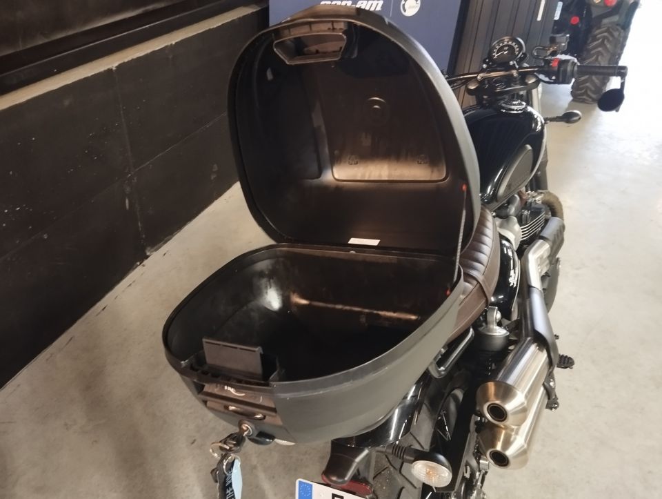 TRIUMPH STREET SCRAMBLE 4