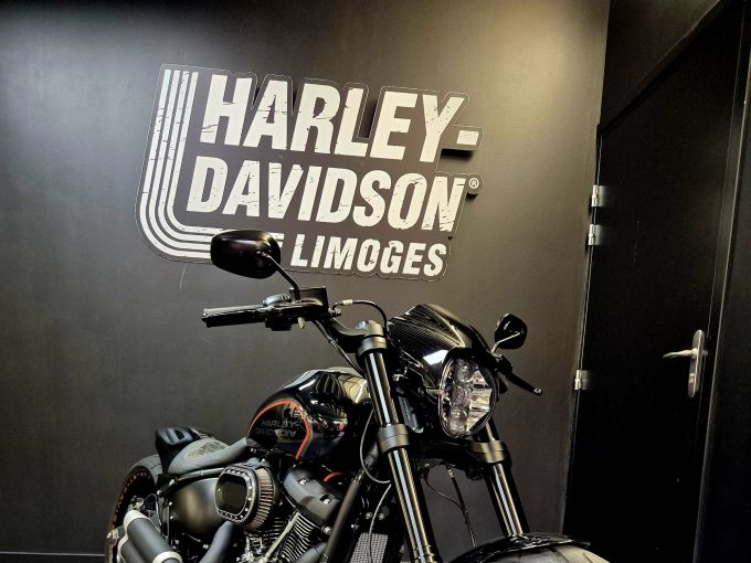HARLEY-DAVIDSON SOFTAIL FXDR 1868 4