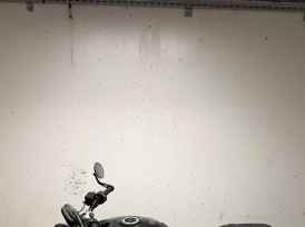 TRIUMPH TRIDENT 660 - 2024