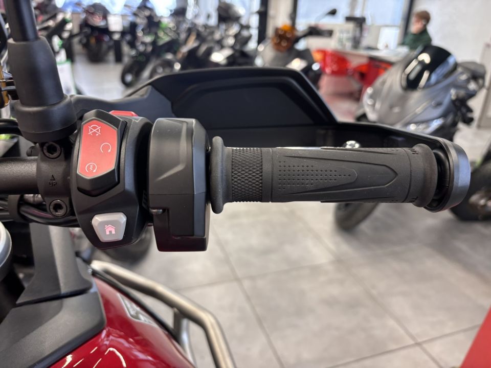 TRIUMPH Tiger 900 GT PRO 4