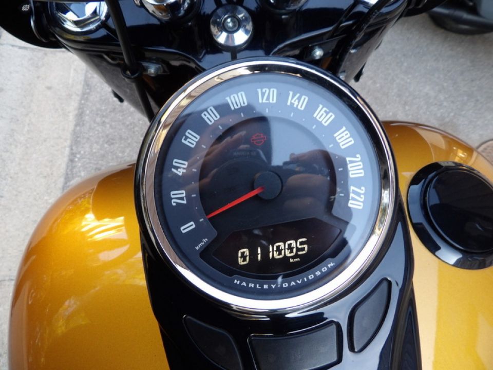 HARLEY-DAVIDSON SOFTAIL HERITAGE 1868 4