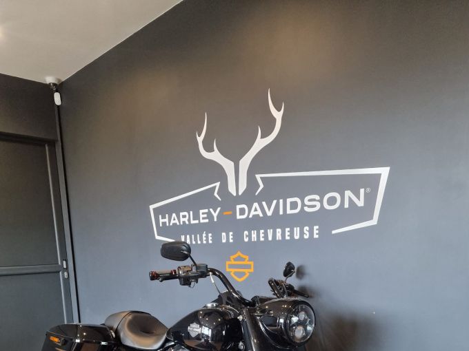 HARLEY-DAVIDSON TOURING ROAD KING 1868 SPECIAL 4