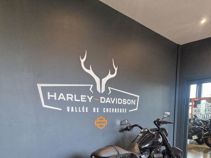 HARLEY-DAVIDSON TOURING ROAD KING 1868 SPECIAL 4
