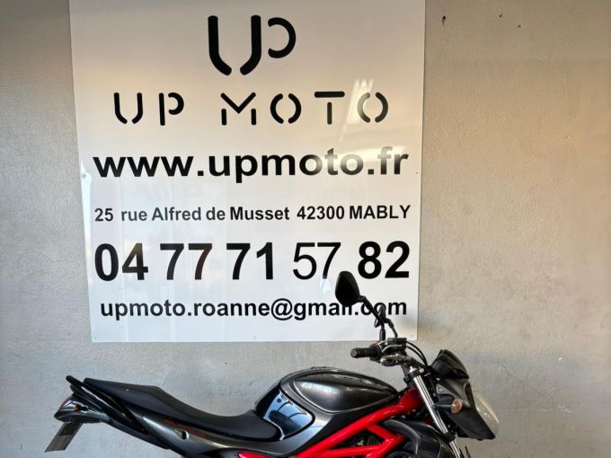 SUZUKI GLADIUS 650 4