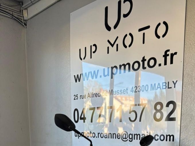 SUZUKI GLADIUS 650 4