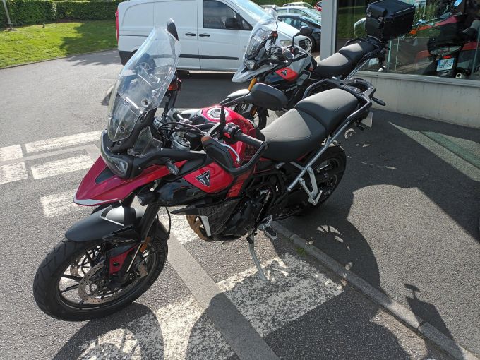 TRIUMPH Tiger 900 GT PRO 4