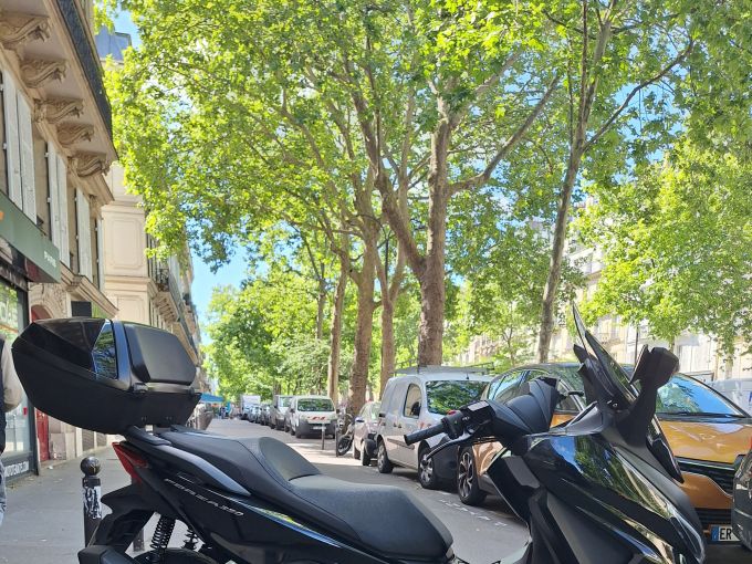 HONDA NSS FORZA 350 4