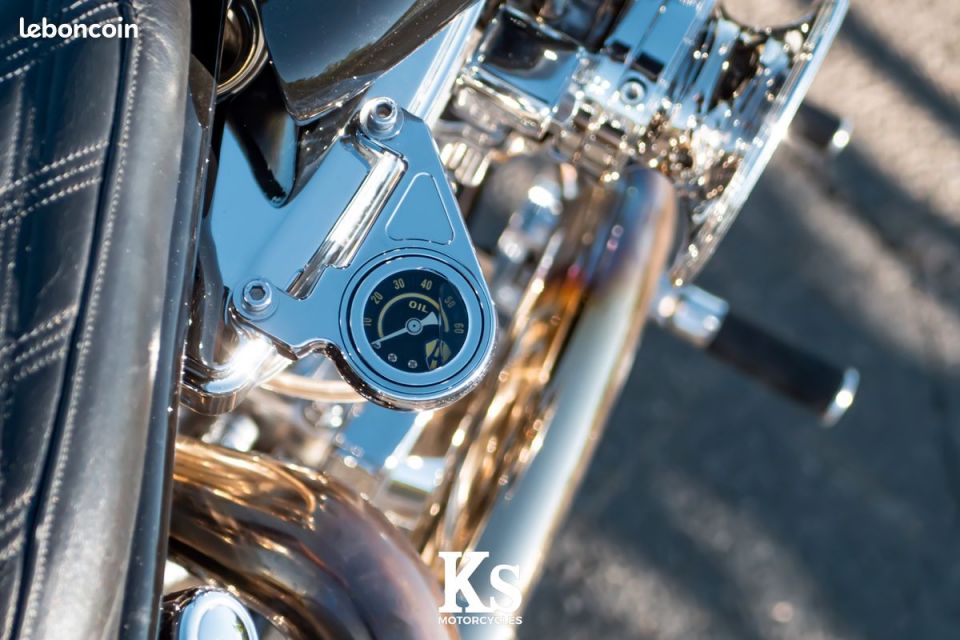 HARLEY-DAVIDSON SOFTAIL 1565 4