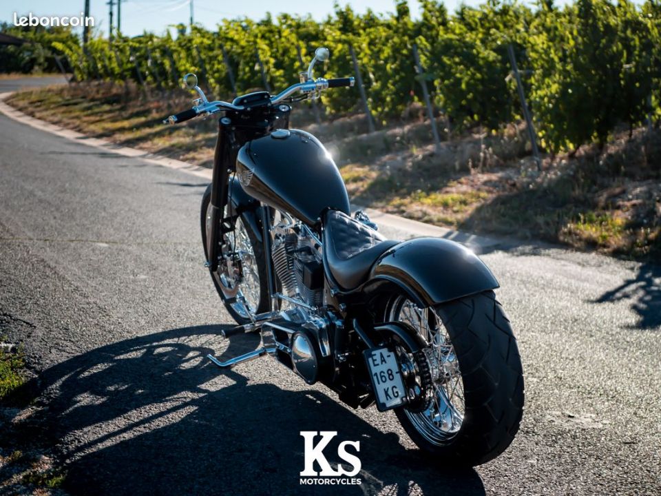 HARLEY-DAVIDSON SOFTAIL 1565 4