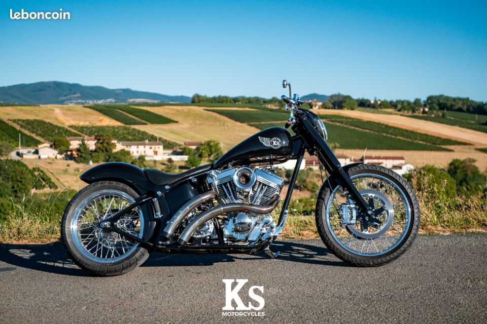 HARLEY-DAVIDSON SOFTAIL 1565 4