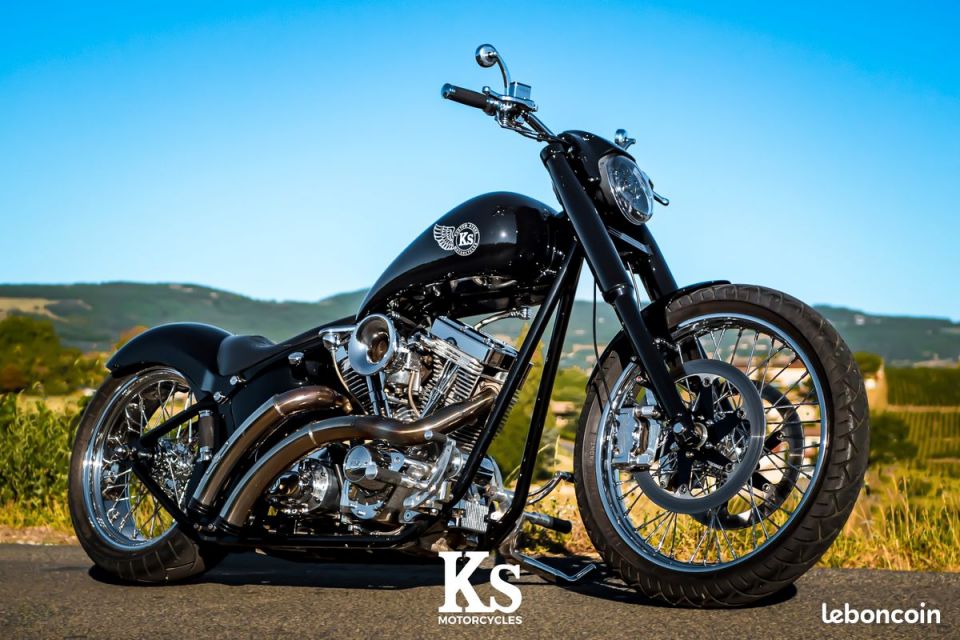 HARLEY-DAVIDSON SOFTAIL 1565 4