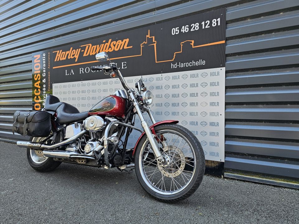 HARLEY-DAVIDSON SOFTAIL CUSTOM 1584 4