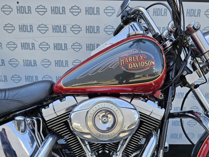HARLEY-DAVIDSON SOFTAIL CUSTOM 1584 4