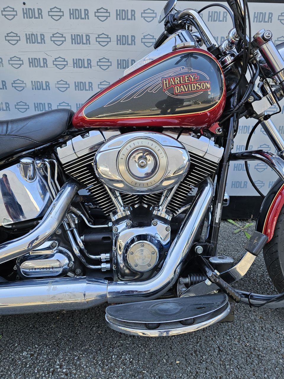 HARLEY-DAVIDSON SOFTAIL CUSTOM 1584 4