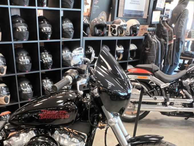 HARLEY-DAVIDSON SOFTAIL STANDARD 1745 4