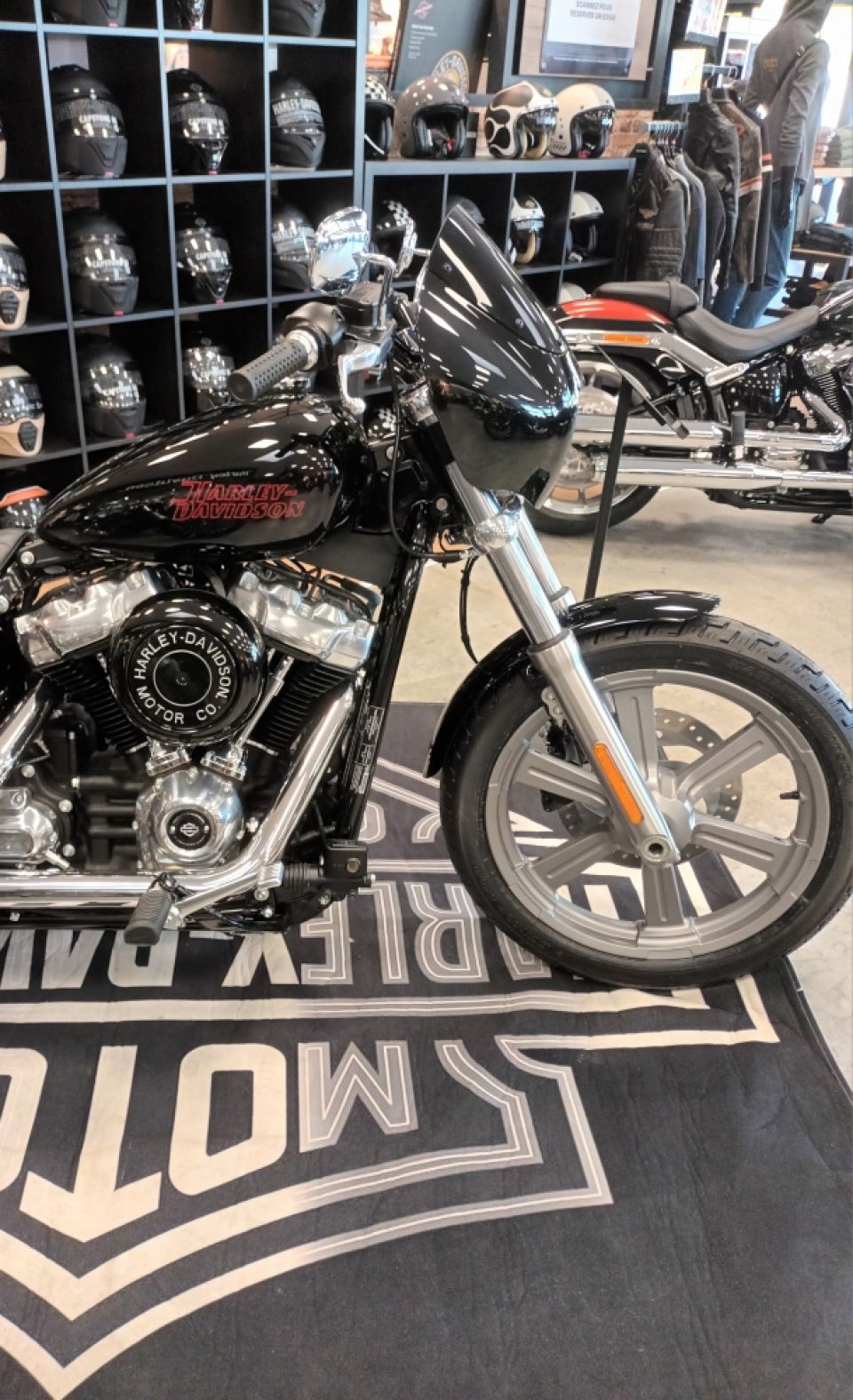 HARLEY-DAVIDSON SOFTAIL STANDARD 1745 4