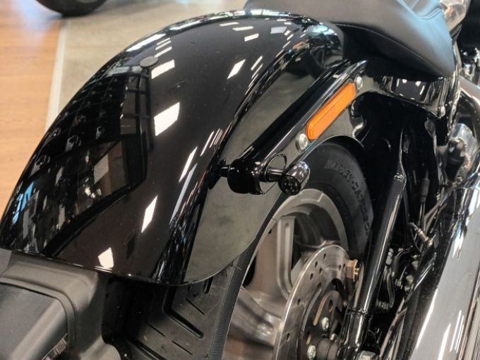 HARLEY-DAVIDSON SOFTAIL STANDARD 1745 4