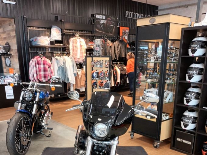 HARLEY-DAVIDSON SOFTAIL STANDARD 1745 4