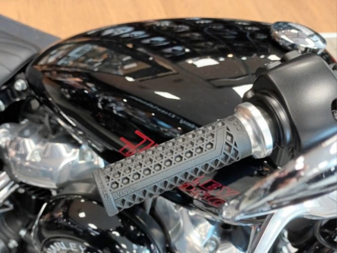 HARLEY-DAVIDSON SOFTAIL STANDARD 1745 4