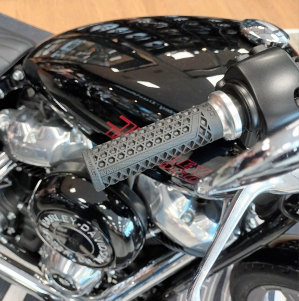 HARLEY-DAVIDSON SOFTAIL STANDARD 1745 4