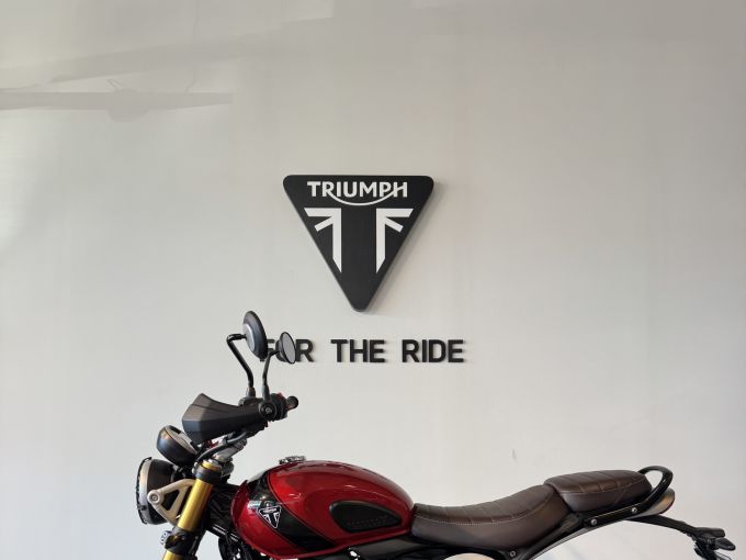 TRIUMPH Scrambler 400 X 4