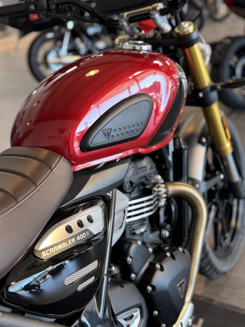 TRIUMPH Scrambler 400 X 4