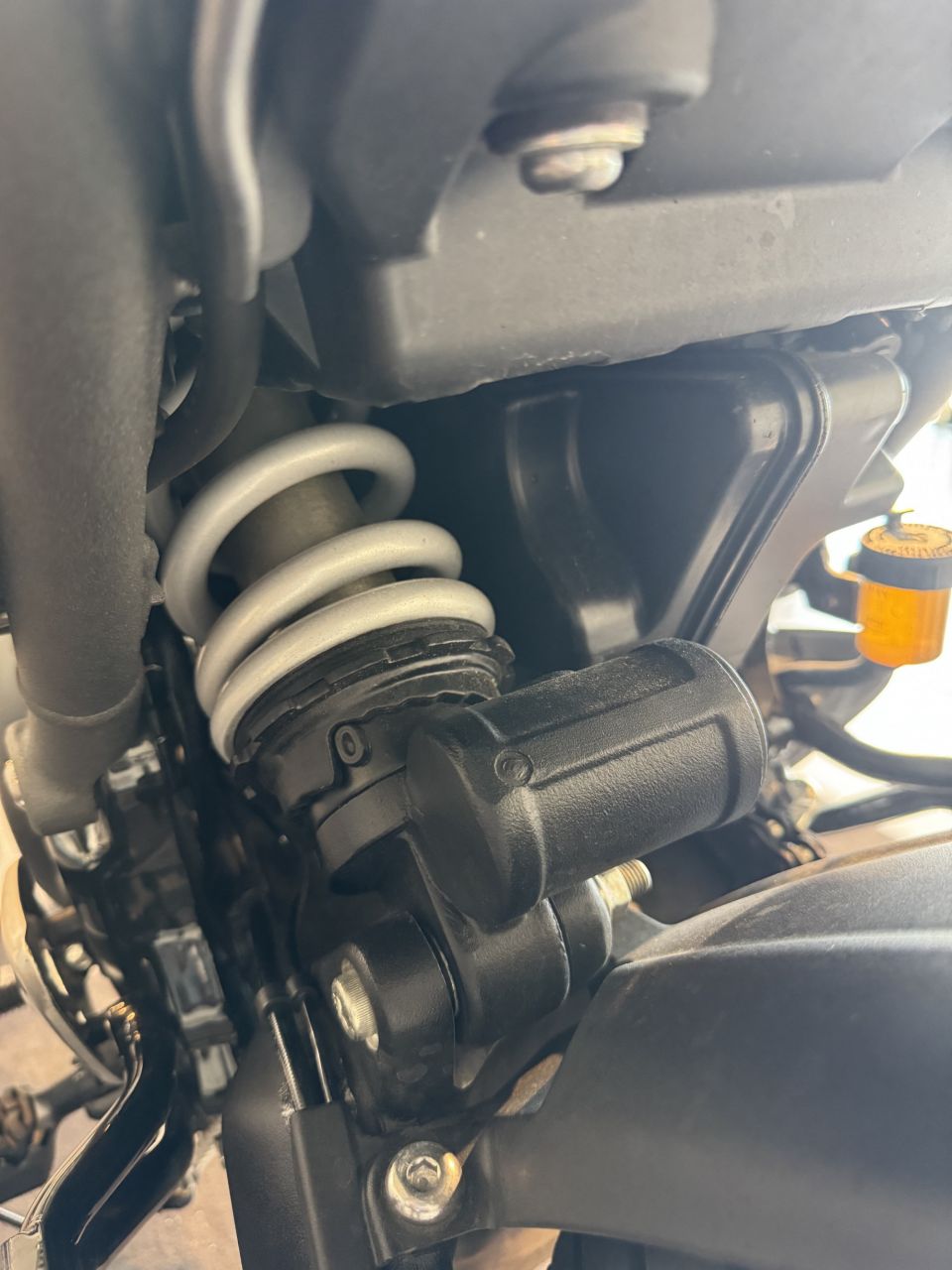 TRIUMPH Scrambler 400 X 4