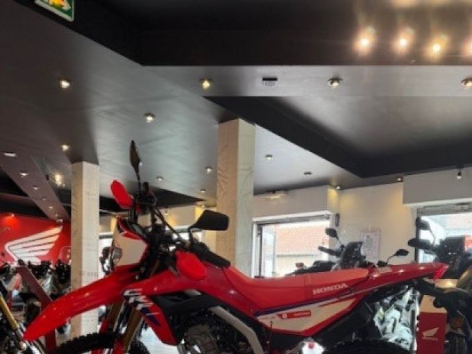 HONDA CRF300L 4