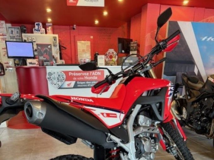 HONDA CRF300L 4
