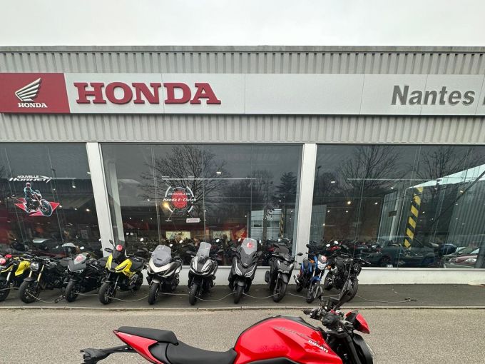 DUCATI MONSTER 900 4