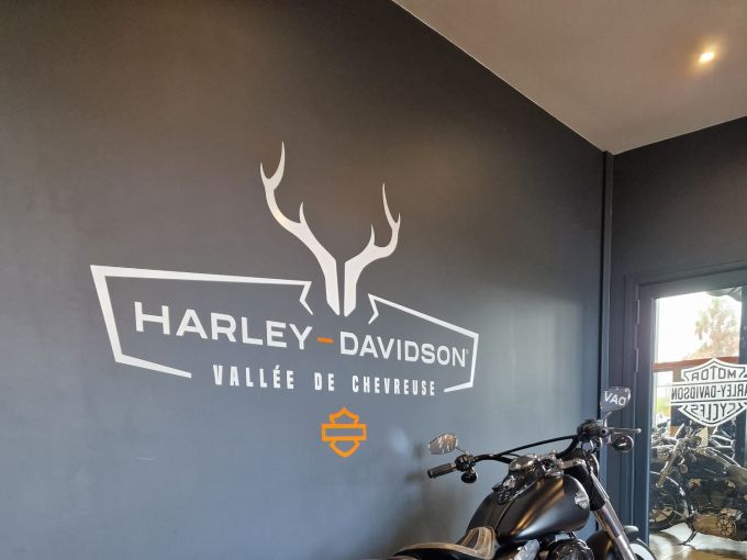 HARLEY-DAVIDSON SOFTAIL SLIM 1690 4