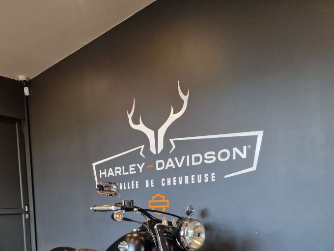 HARLEY-DAVIDSON SOFTAIL SLIM 1690 4