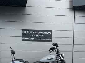 HARLEY-DAVIDSON Softail Street Bob 117 2025 - 2025