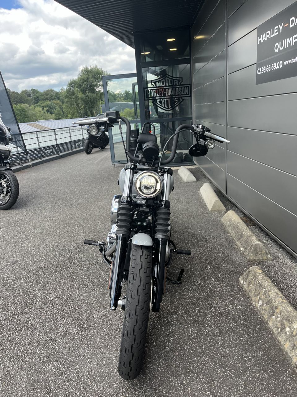 HARLEY-DAVIDSON Softail Street Bob 117 2025 4