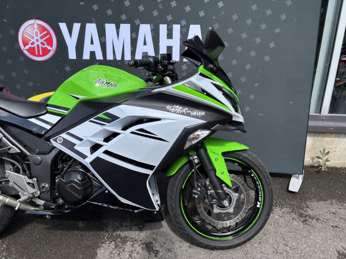 KAWASAKI NINJA 300 4