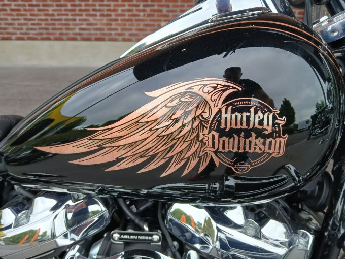 HARLEY-DAVIDSON SOFTAIL DELUXE 1745 4