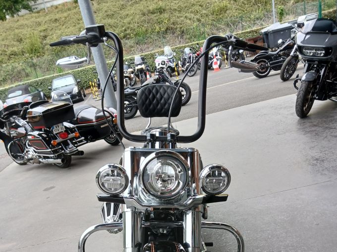 HARLEY-DAVIDSON SOFTAIL DELUXE 1745 4