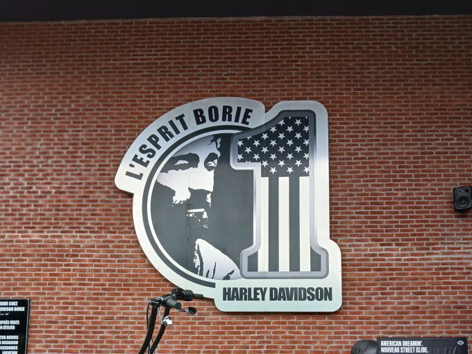 HARLEY-DAVIDSON SOFTAIL DELUXE 1745 4
