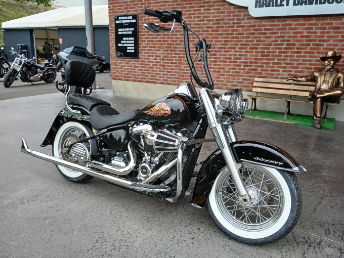 HARLEY-DAVIDSON SOFTAIL DELUXE 1745 4