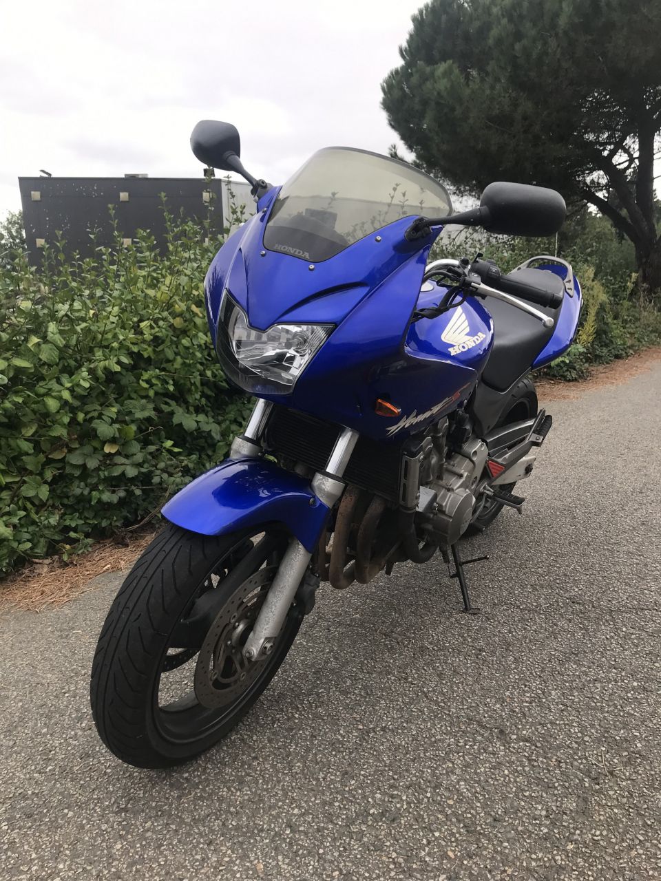 HONDA CB 600 F HORNET 4