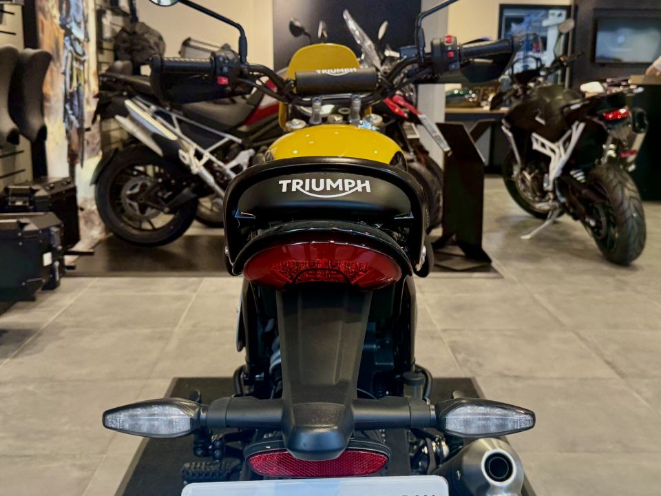 TRIUMPH Scrambler 400 X 4